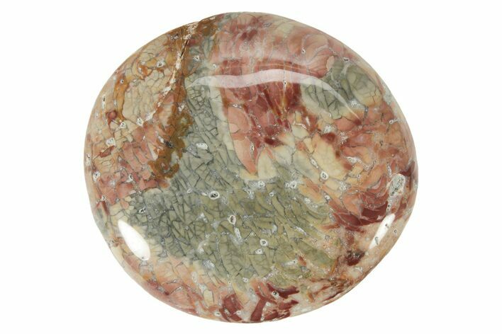 Polished Ibis Jasper Palm Stone - Madagascar #181581
